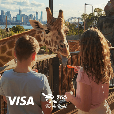 Kids feeding giraffe at Taronga Zoo, part of BOQ Visa competition promotion.