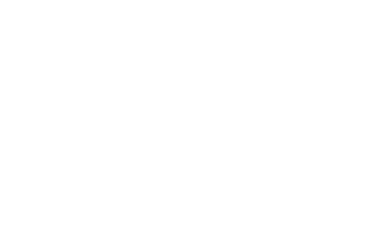 Velocity points